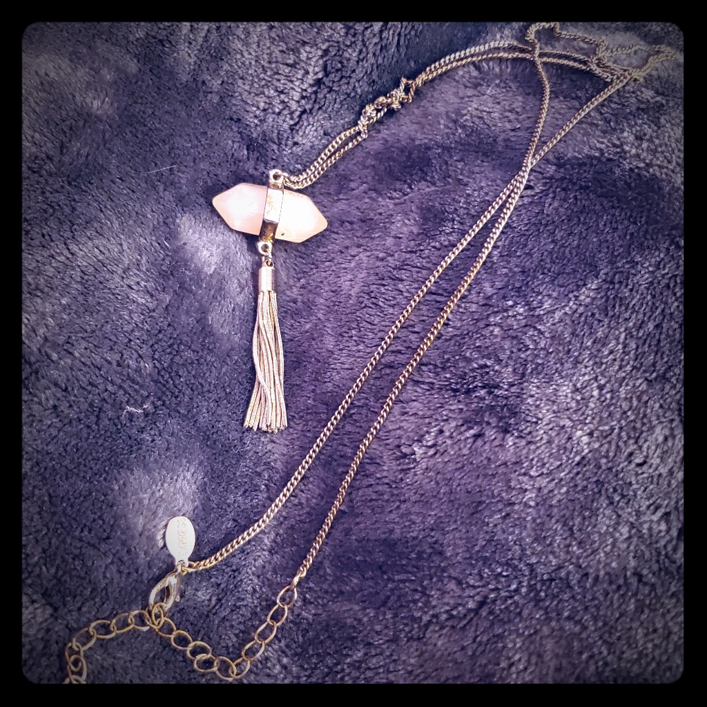 Express Statement Necklace 12$